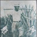 100년 전 멕시코로 팔려간 한국인 노예이민 이미지