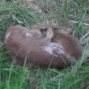 영광자동차병원 이미지