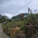 무무산방 이미지