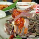 광어9900 이미지