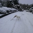 구월초등학교 이미지