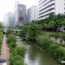 세종로행정사사무소 이미지