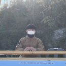 도그헬퍼 이미지