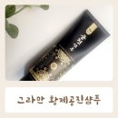 황제 공진보단 이미지