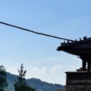 뉴제네레이션 | [서울 종로] 경복궁 2024 코리아 온 스테이지 : 뉴 제너레이션 방청 후기