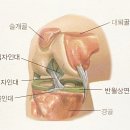 하나스포츠 - 장성군 일산1길 12 | 하나스포츠