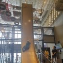 8월 17일 대전 스포츠 몬스터 이미지