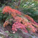 생활도자기공예 이미지