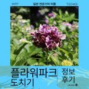 현플라워 | 초 여름에 도쿄에서 꽃 보러 가볼만한 아시카가 플라워 파크