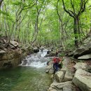 제 997차 밀양 백운산(891m) 백호바위(호박소계곡) 이미지