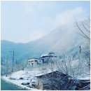 단양의아침 | 단양 펜션 들꽃정원펜션 방문후기. 눈 오는 아침이 선물 같았던 단양의 이곳.