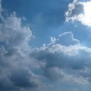 버드내 약국 이미지