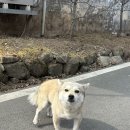 엠넷스타동전노래연습장 이미지