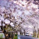 남해-183 이미지