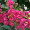 김정문화로 이미지