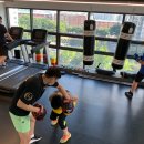 제이비복싱짐 이미지