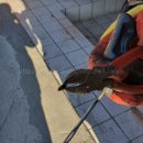 호성타이어펑크