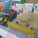 위드팜 굿모닝 약국 이미지