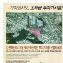 월드피아 이미지