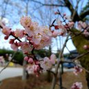영주 소수서원 문성공묘 | 영주여행 추천 유네스코 세계문화유산 소수서원