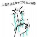 상남동264 이미지