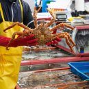 대박상회 이미지