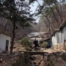 중흥사 | 중생이여 속세를 떠나자 (중흥사 나홀로 템플스테이)