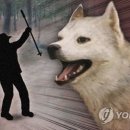 삼거리축사 이미지