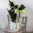 이동우체국 | 온양우체국 승진화분 배송｜인사이동 시즌 축하 화분은 미리 예약하세요