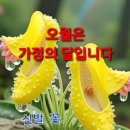 이레한의원