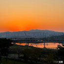 금강베네치아 | 세종테라스카페 세종시청 근처 213비엔나 금강 노을 뷰맛집