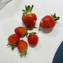 연곡농장 이미지