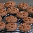 백록초등학교 병설유치원 이미지