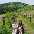 돌담목장 | 동쪽 가볼만한 곳, 제주 셀프 스냅 명소, 송당무끈모루- 제주 돌담 - 백약이오름 - 천미천 - 제동목장