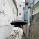 속초솔향민박
