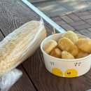 일박이일쓰리룸 이미지