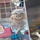 풍물시장(갑곳리205-5) | 바다 그리고 바다 일상이 고양이 2506-1