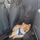 천태산 오토캠핑장 이미지