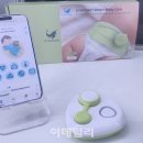 베이비웨일