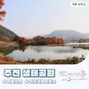 주천면 벚꽃길 | 전북 진안 가볼만한 곳 함께 걷기 좋은 힐링 산책 명소 주천 생태공원