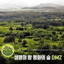 <숲을 보다> 생명의 땅 평화의 숲 DMZ 이미지