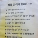 루아뷰티 네이버블로그