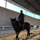 레이크밸리승마클럽 이미지