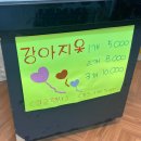 콩순이네 애견샵 | 동인천애견용품 '비어펫' 행사제품 많고 종류 넘쳐나는곳(간식저렴한곳)