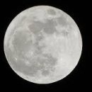 달의 꿈 이미지