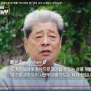 감먹은 토끼 이미지