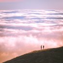햇빛문고-푸른