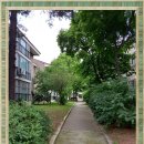 만수약국 앞 이미지