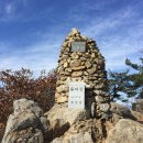 곡성-226 네이버블로그