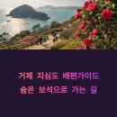 개인화물681 | 거제 지심도 배편 완벽 비교 가이드